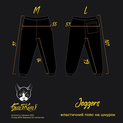 Штани Утеплені Joggers